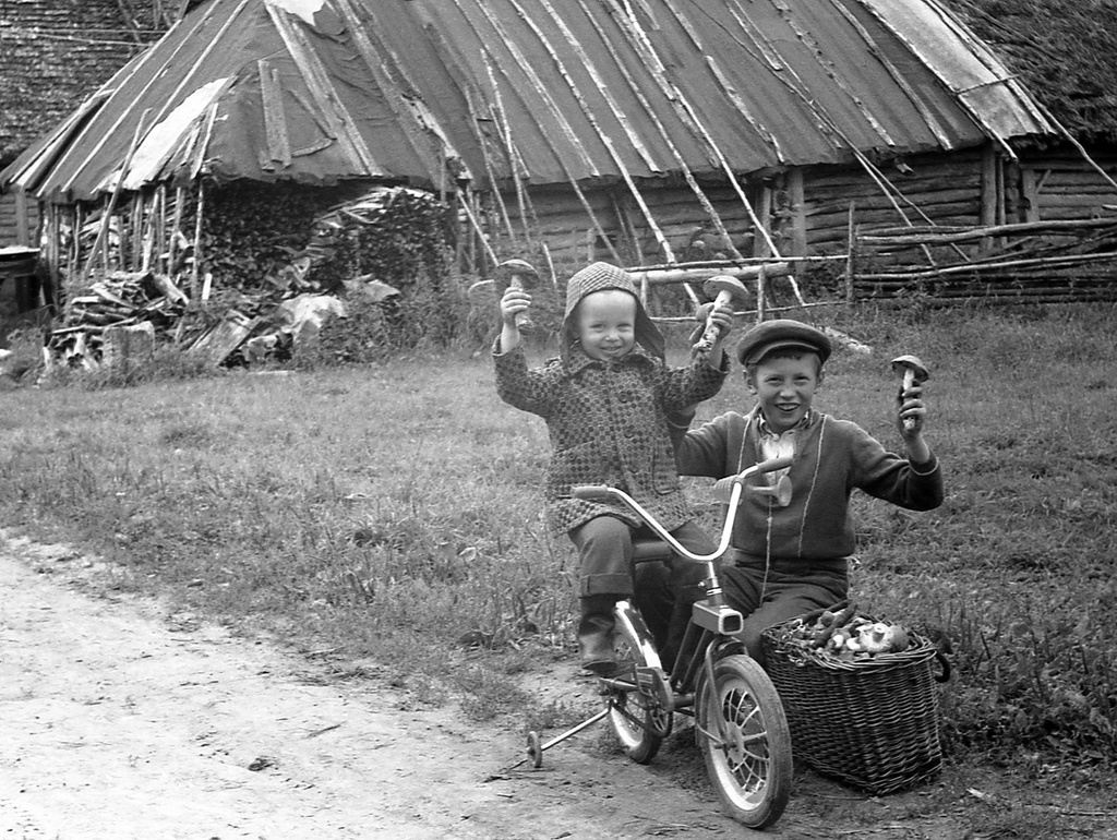 Юные грибники, июль 1980, Псковская обл., Псковский р-н, дер. Ольхи. Выставка «Дети 1980-х» с этой фотографией.