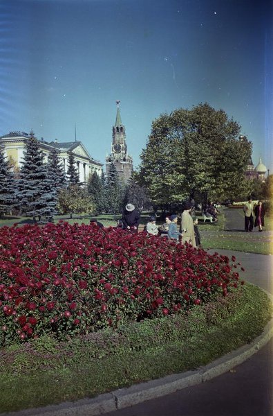 Московский Кремль. Большой Кремлевский сквер, 1957 - 1963, г. Москва