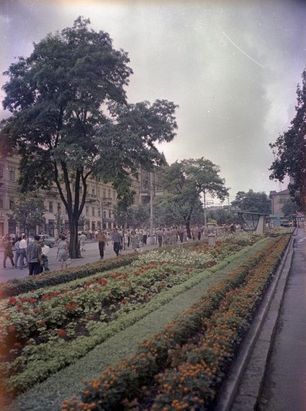 Дерибасовская улица, 1962 - 1964, Украинская ССР, г. Одесса