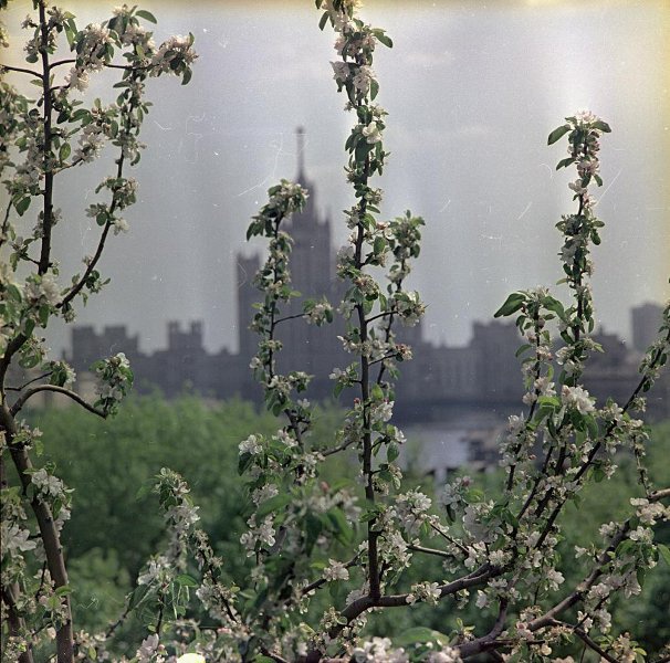 Фото "Вид на жилой дом на Котельнической набережной", 1968 - 1973, г ...