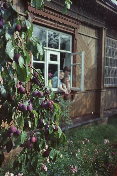 На даче, 1970-е. Выставка «Убежище от суеты» с этой фотографией.