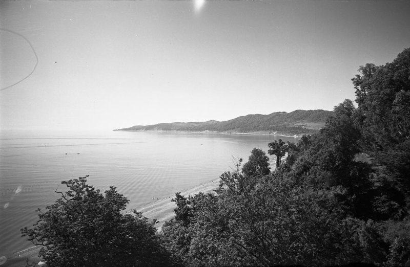 Фото "Черноморское побережье", 1950-е - История России в фотографиях