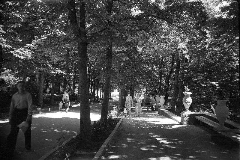 Фото "Аллея в парке", 1957 - 1965 - История России в фотографиях