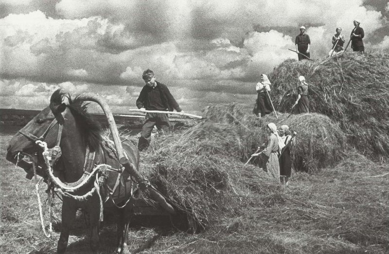 «Вблизи от фронта». Заготовка сена, 1942 год, Тульская обл., Щекинский р-н, с. Карамышево