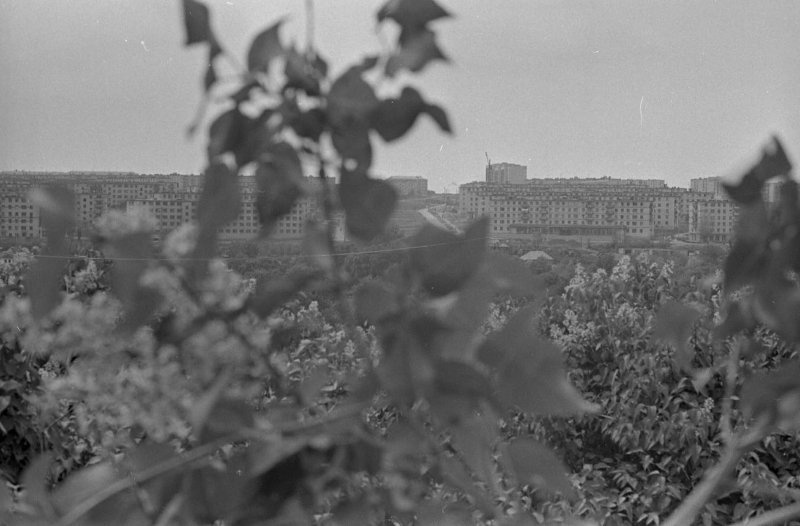 Губкин, 1976 год, Белгородская обл., г. Губкин