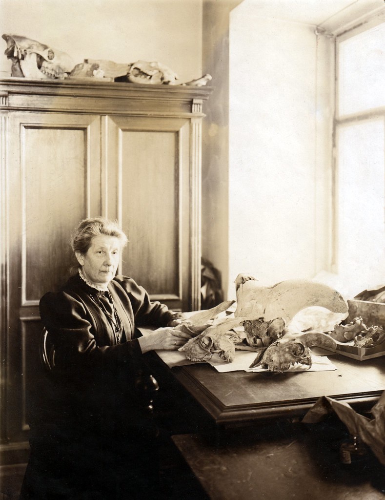 Палеонтолог, академик Всеукраинской академии наук Мария Васильевна Павлова, 1920-е. Московский университет.