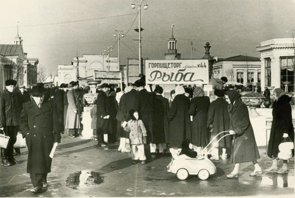 Рязанская областная сельскохозяйственная, промышленная, строительная выставка, 1955 - 1956, Рязанская обл., г. Рязань