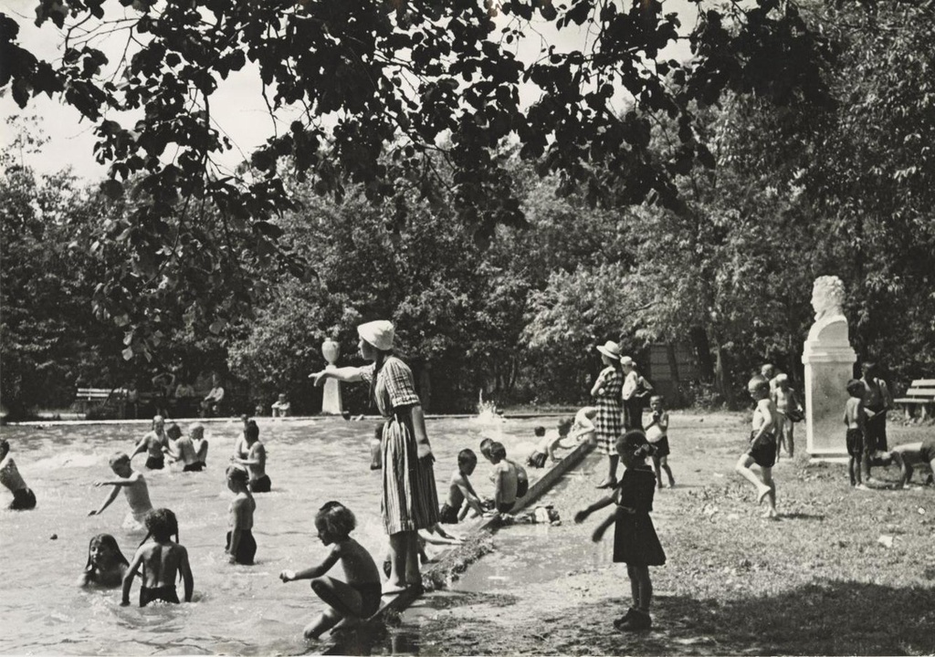 Купание в пруду, 1950-е
