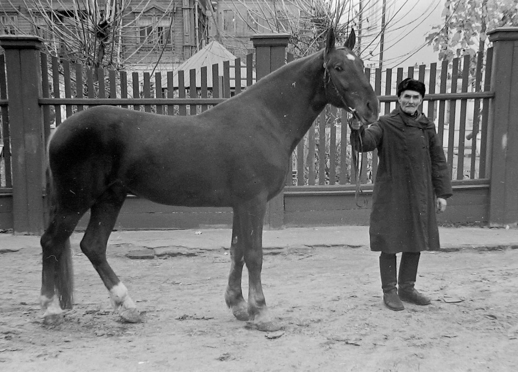 Фото \"На Текстильной улице\", 1950 - 1955, Владимирская обл., г. Вязники ...