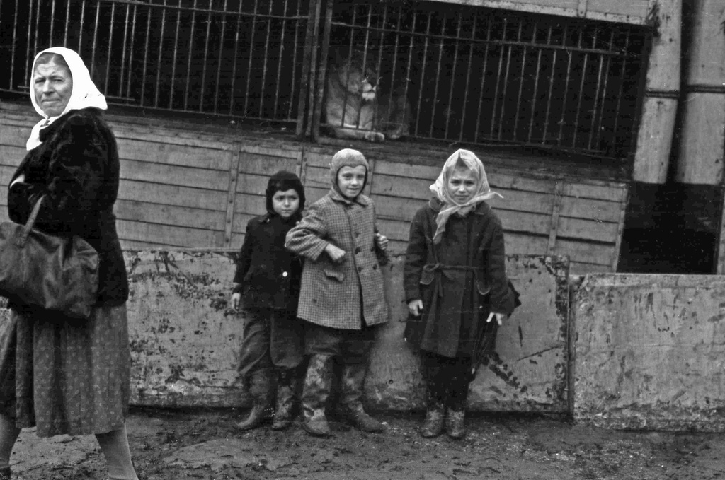 Фото \"Посещение передвижного зооцирка в Бузулуке\", 22 сентября 1963 ...