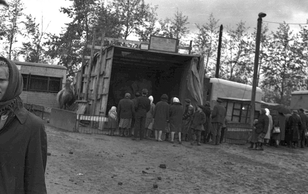 Посещение передвижного зооцирка в Бузулуке, 22 сентября 1963, Оренбургская обл., г. Бузулук