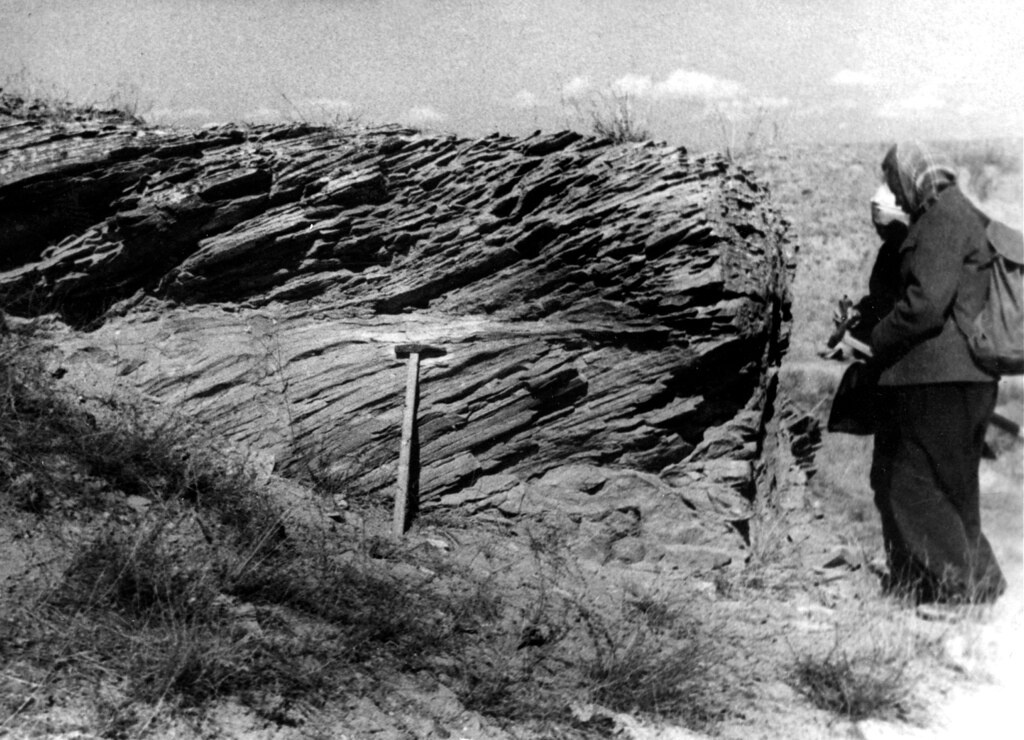 Фото "Геологический молоток", 1960-е, Казахская ССР - История России в ...