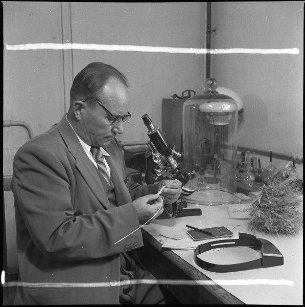 Фото \"Ученый-фитопатолог, профессор Тимирязевской академии Михаил Дунин ...