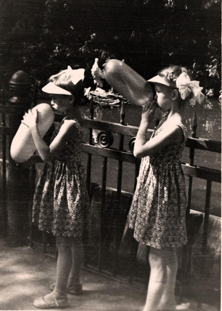 Марина и Лена Сосенковы в Москве летом 1964 года, июнь 1964, г. Москва. Выставка «Из частных коллекций» с этой фотографией.