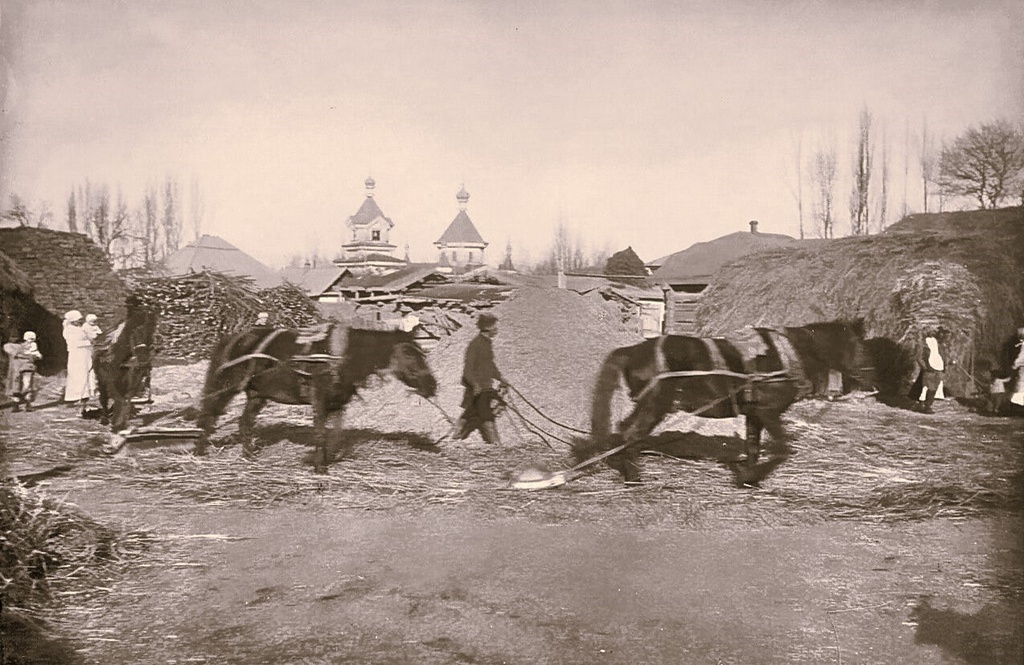 Молотьба лошадьми с камнями в Пржевальске, 1914 год, Семиреченская обл., Пржевальский у., г. Пржевальск