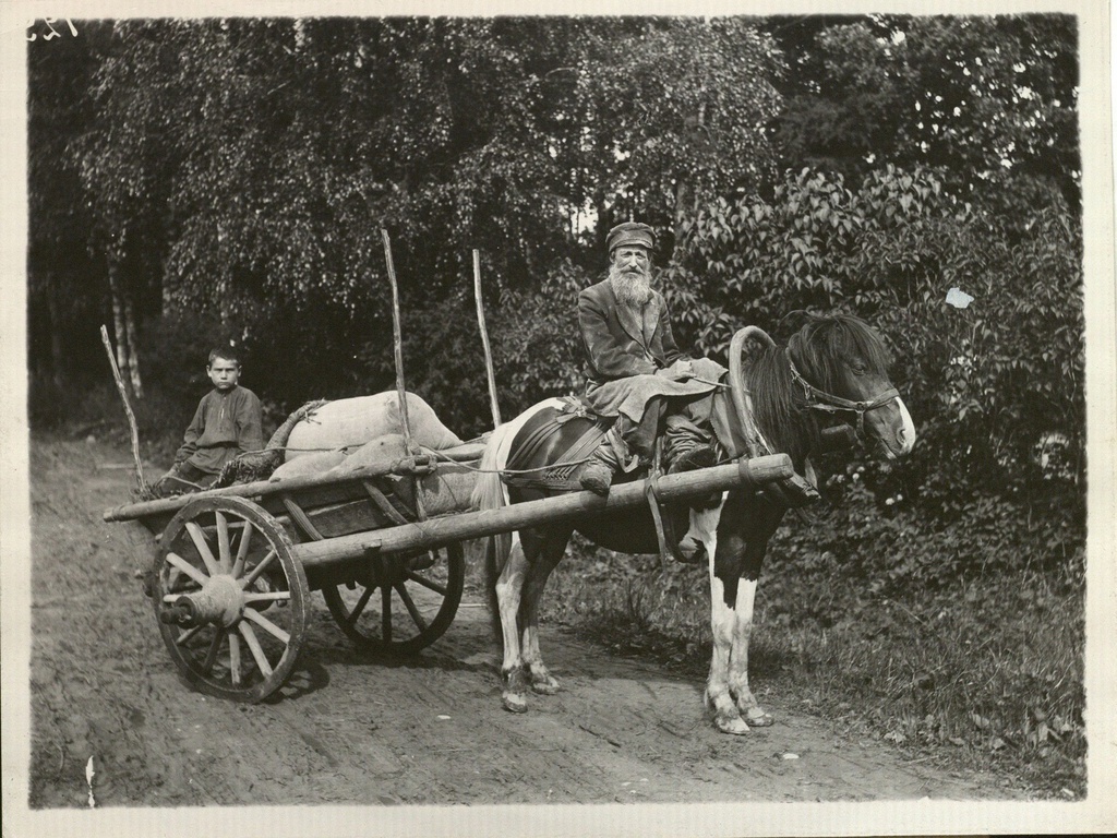 Крестьянин в двуколке с сыном, 1900 - 1914, г. Санкт-Петербург. Из коллекции фотографий, собранной Я. Н. Ривошем по истории материальной культуры России конца XIX – начала XX века.