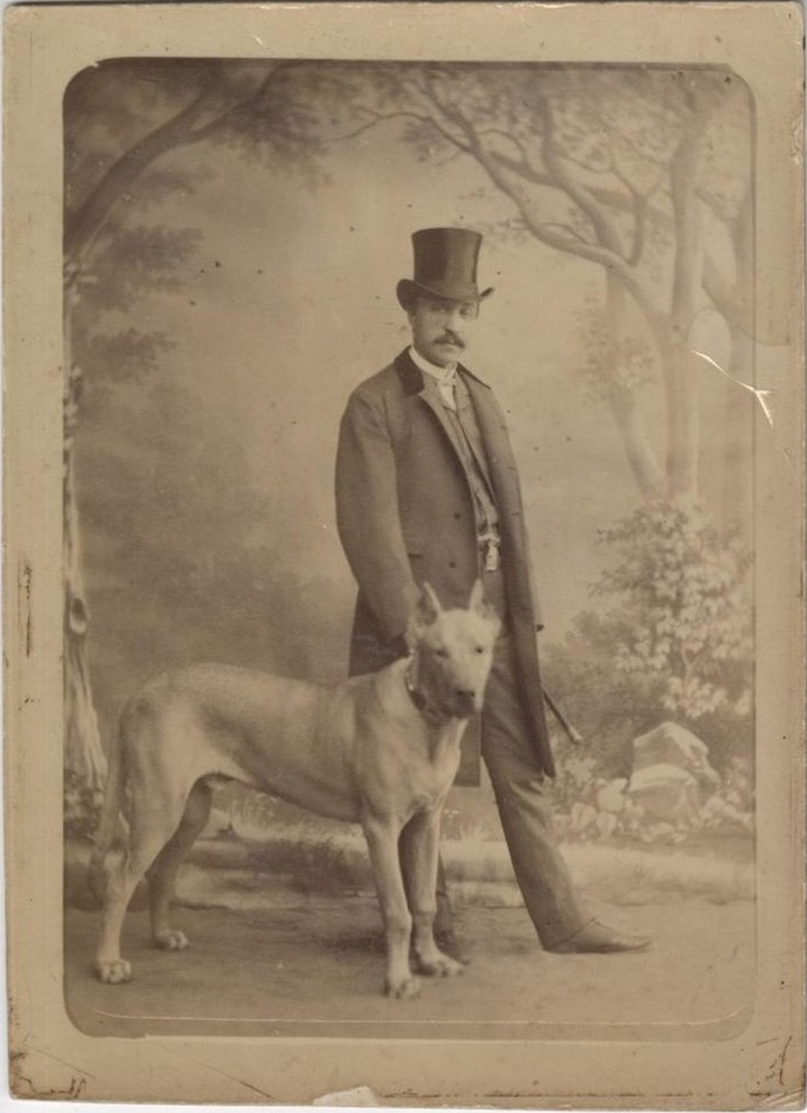 Портрет Н. В. Попова с собакой, 18 августа 1887. Выставка «Гав!» с этой фотографией.