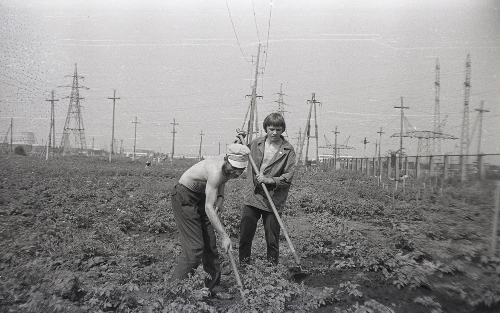 «На картошке», 1979 - 1981, Куйбышевская обл., г. Тольятти. Отец и старший сын.Ныне Самарская область.