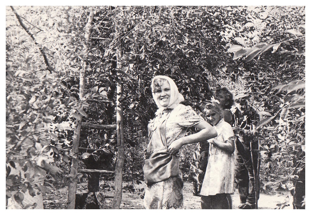 Вишневый сад. Сбор вишни, 1 сентября 1974, Украинская ССР, Днепропетровская обл.
