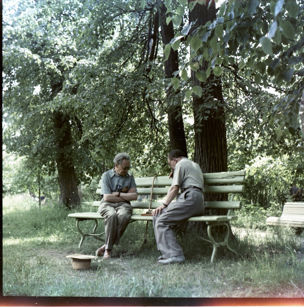 ЦПКиО имени Горького. Нескучный сад. Шахматисты, 1961 год, г. Москва