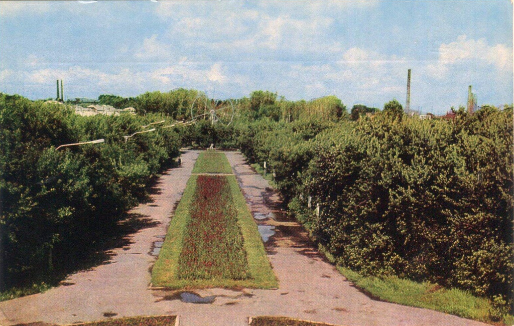 Центральный городской парк, 1973 год, Кемеровская обл., г. Белово. 