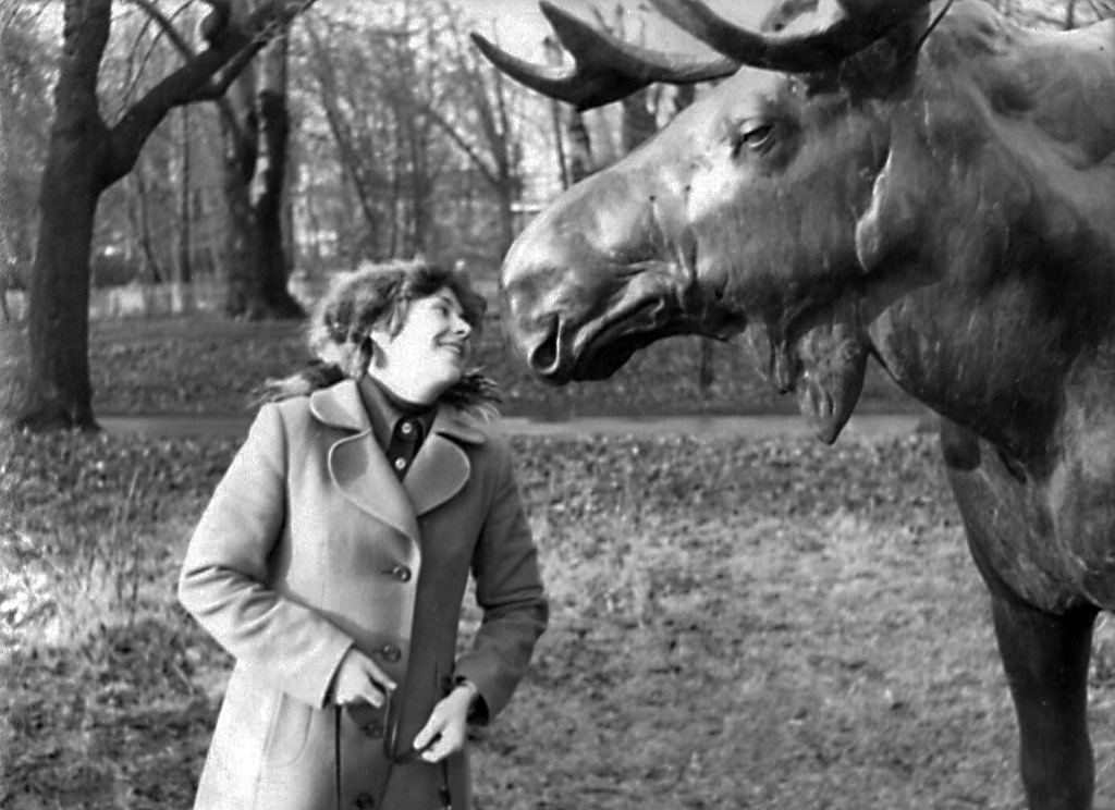 В Калининградском зоопарке у Гумбинненского лося, 1982 год, Калининградская обл., г. Калининград. Выставка «Калининград» с этой фотографией.