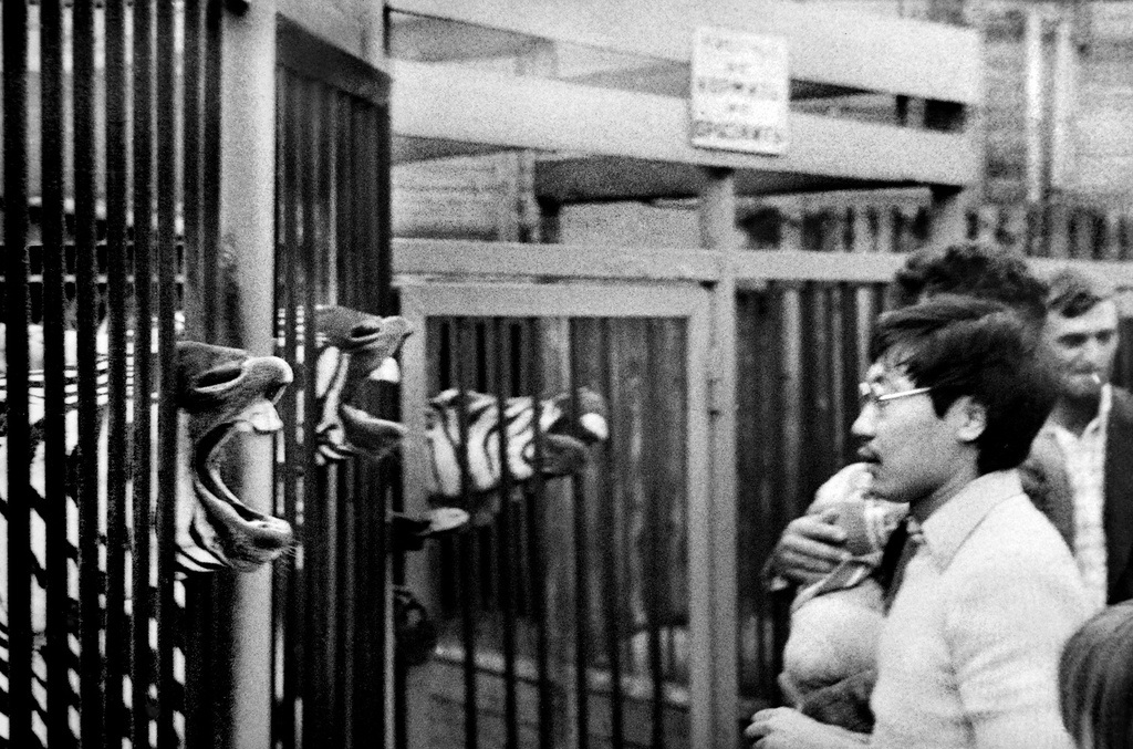 «Человек и природа», 1981 год, г. Новосибирск. Выставка «В Новосибирске Сергея Секретарева» с этой фотографией.