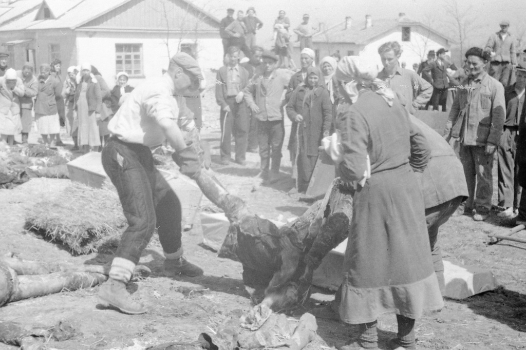 Эксгумация тел узников концлагеря «Красный», 21 - 23 апреля 1944, Крымская АССР, Симферопольский р-н, совхоз «Красный». Эксгумация останков жертв – узников концлагеря «Красный», организованного фашистами на территории птицесовхоза «Красный» под Симферополем (место заключения советских военнопленных и гражданских лиц в период с ноября 1941 по апрель 1944 года), где было уничтожено более 15 000 человек.