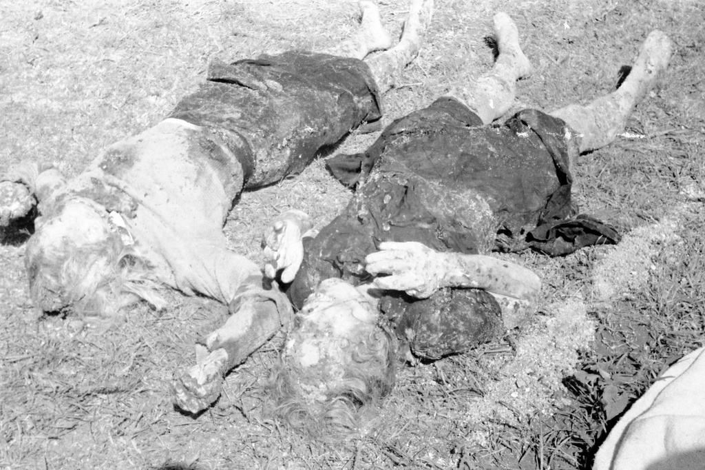 Эксгумация тел узников концлагеря «Красный», 21 - 23 апреля 1944, Крымская АССР, Симферопольский р-н, совхоз «Красный». Из монтажного листа кинооператора: «Один из многочисленных трупов – артистка Симферопольского театра Перегонец (одета в светлую кофточку), этот кадр идет после общего плана прохода с носилками мимо лежащих на земле трупов». В 1943–1944 годах в Симферопольском русском театре драмы (ныне – Крымский академический русский драматический театр имени М. Горького) действовала подпольная группа «Сокол». Организаторы группы: главный художник театра (художник-оформитель) Николай Андреевич Барышев (1907–1944) и актриса Александра Федоровна Перегонец (1895–1944).