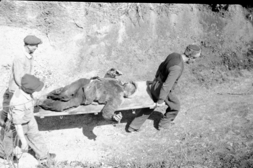 Эксгумация тел узников концлагеря «Красный», 21 - 23 апреля 1944, Крымская АССР, Симферопольский р-н, совхоз «Красный». Эксгумация останков жертв – узников концлагеря «Красный», организованного фашистами на территории птицесовхоза «Красный» под Симферополем (место заключения советских военнопленных и гражданских лиц в период с ноября 1941 по апрель 1944 года), где было уничтожено более 15 000 человек.