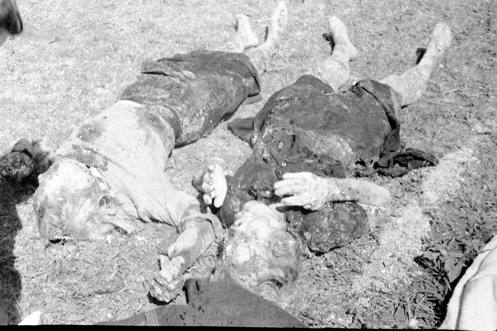 Эксгумация тел узников концлагеря «Красный», 21 - 23 апреля 1944, Крымская АССР, Симферопольский р-н, совхоз «Красный». Казненная в ночь с 10 на 11 апреля 1944 года Зоя Павловна Яковлева (1898–1944)  – актриса Симферопольского русского театра драмы (ныне – Крымский академический русский драматический театр имени М. Горького), член подпольной группы «Сокол», организованной главным художником театра Николаем Андреевичем Барышевым (1907–1944) и актрисой Александрой Федоровной Перегонец (1895–1944). Из монтажного листа кинооператора: «Кр. план – труп артистки Яковлевой (взялась за голову руками). Снятый материал является лишь частью того, что происходит вокруг Симферополя. Раскопки и расследования продолжаются. Все, что будет интересно и значительно, будет заснято и выслано дополнительно. В связи с жарой нет возможности показать массу трупов, их хоронят к концу дня».