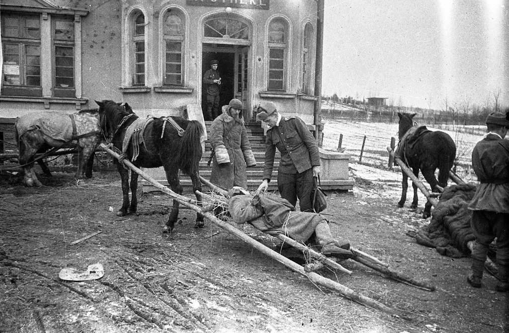Доставка раненых на волокушах под Витебском, 1944 год, Витебская обл.. Выставка «Военные фотографии Елизаветы Микулиной» с этим снимком.