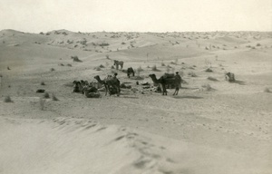 Перевозка кинооборудования. Привал в песках, 1924 - 1935, Туркменская ССР. Съемки для киностудии «Севзапкино» (ныне «Ленфильм») и кинофабрики в Полторацке (с 1927 года – Ашхабад). 
