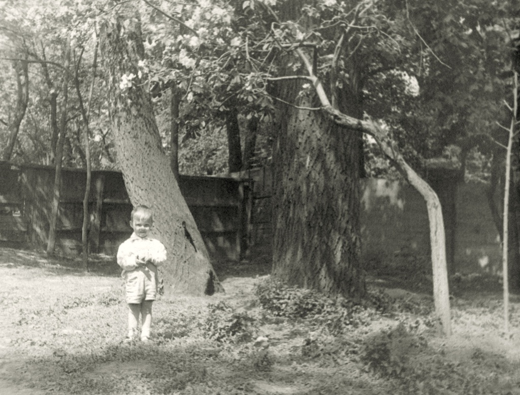 Портрет сына во дворе дома 10 на Житной улице, 1935 год, г. Москва. Автор – Борис Александрович Баш (Шишлянников) (1901–1942), фотограф, кинооператор и режиссер.