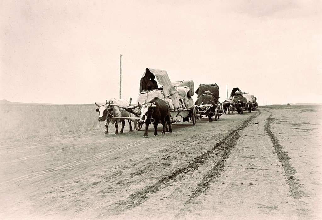 Переселенцы-малоросы в Семиречье, апрель - октябрь 1913, Туркестанское генерал-губернаторство, Семиреченская обл.. «Малороссы» (малоросы, малорусы, малороссийцы, малороссияне) – исторический этноним, который обозначал жителей Малороссии, юго-западной группы восточных славян (русских), проживаших на территории современной Украины, Белоруссии и Польши. Малая Росия, появился на свет в XIV веке и вначале обозначал польскую часть Киевской митрополии, а после 1648 года –  территорию казацкой Гетманщины. Понятие малоросс появляется в русском языке под влиянием из Киева на рубеже XVII–XVIII веков. В XIX веке малоросс входит как понятие, обозначающее население Малороссии левого берега Днепра, соединенное с великороссами общим сувереном и религией.