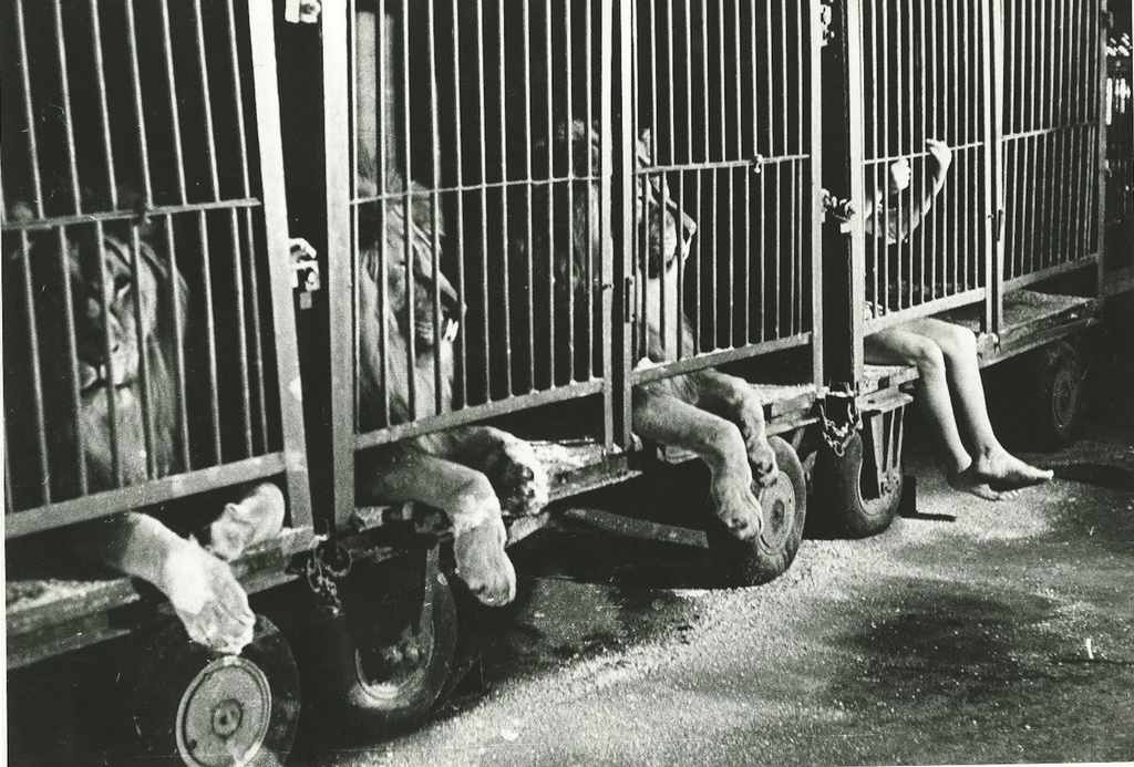 За кулисами Шапито, 1979 год. Выставки&nbsp;«Будни эпохи застоя» и «СССР в 1979 году» с этой фотографией.