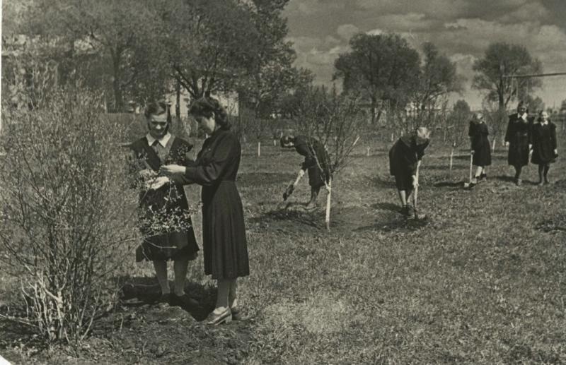 Пионеры на школьном участке, 1946 год