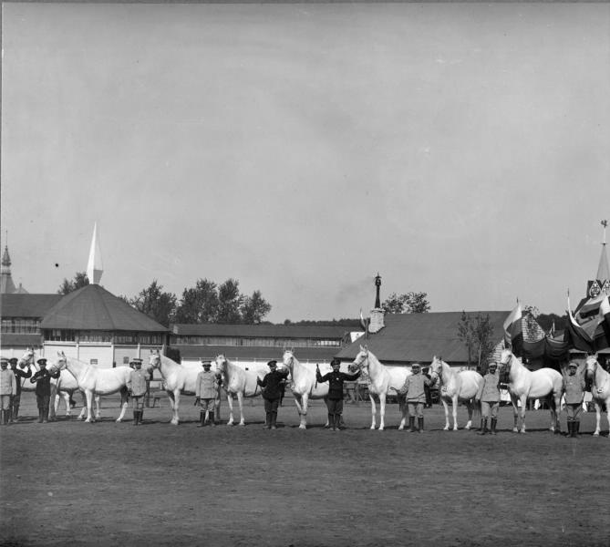 Лошади с конюхами на ипподроме, 1910 год
