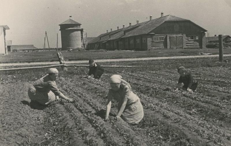 Помощь колхозу, 1942 год