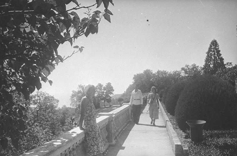 Парк, 1930-е, Крымская АССР, Ливадия. Выставка «Отпуск одного фотографа» с этой фотографией.&nbsp;