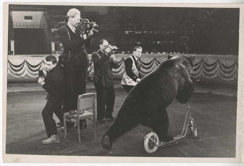 Дрессировщик Иван Кудрявцев и медведь Гоша, 1959 год, г. Москва. Выставка «За кадром» с этой фотографией.