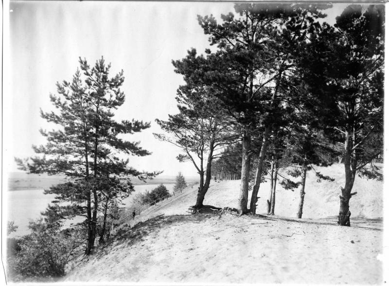 Пейзаж на берегу реки, 1900-е