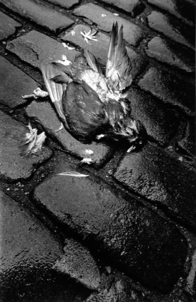 «Трагедия», 1989 год, Латвийская ССР, г. Рига