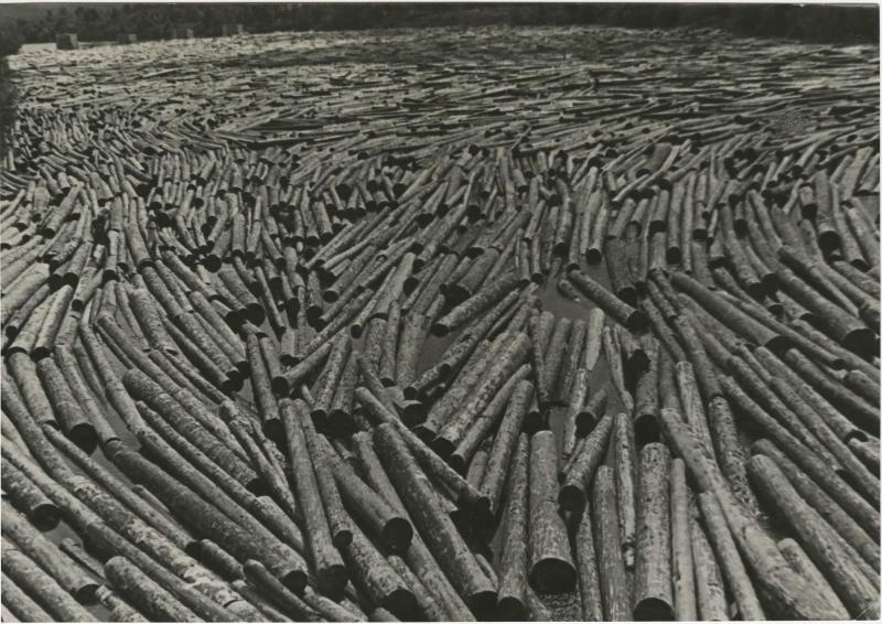 Сплав леса, 1958 - 1963