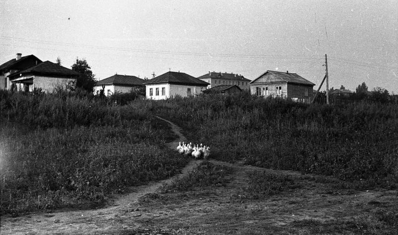 Деревня, 1967 год