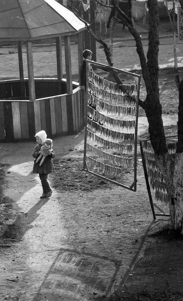 Во дворе, 1960-е, о. Сахалин, г. Южно-Сахалинск. Предположительно г. Южно-Сахалинск.Выставка «Сахалинское детство Юрия Садовникова» с этой фотографией.&nbsp;