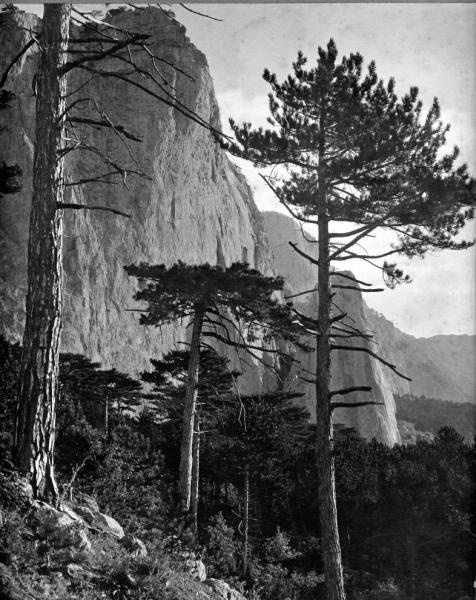 Гора Шан-Кая близ Симеиза, 1900-е, Крымский п-ов., пос., Симеиз