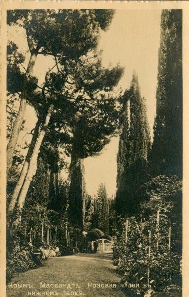 Розовая аллея в нижнем парке, 1900-е, Таврическая губ., Крымский п-ов, пос. Массандра