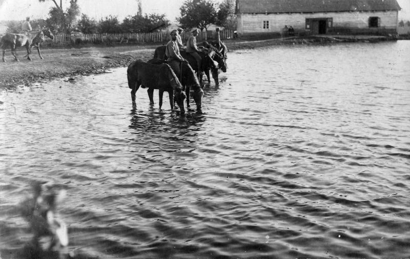 Духовщинский полк. Кони на водопое, 1916 год. 267-й пехотный Духовщинский полк составлен по мобилизации 18 июля 1914 года. Дислоцировался в Новгородской губернии, в Грузино. Осенью 1914 года полк был включен в состав Петроградского военного округа. До октября 1914 года дислоцировался в Охте, затем был направлен на Северо-Западный фронт.