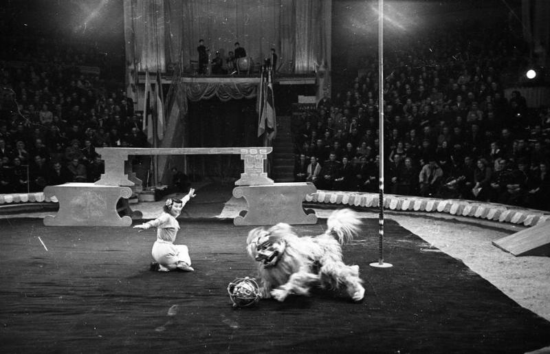 Фото "Китайский цирк. Пантомима «Танец львов»", 1957 год, г. Москва ...